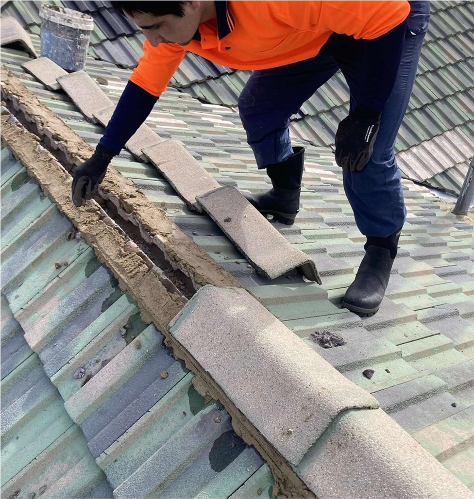 roof repairs specialist