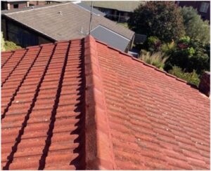 For The Best Roof Restoration Near Me, count on SALocal Roof Repairs Today